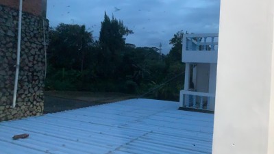 Dijual Rumah Walet Beserta Tanah Luas 18500 Meter Klari, Karawang