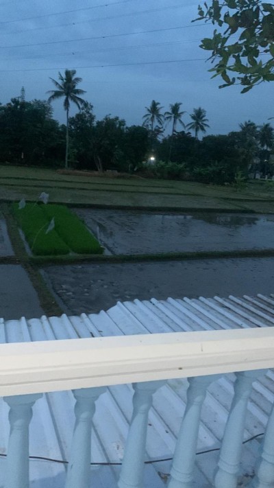 Dijual Rumah Walet Beserta Tanah Luas 18500 Meter Klari, Karawang-3
